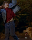 1997_-_Air_Bud_mp41317.jpg