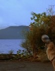 Filename=1997_-_Air_Bud_mp41319.jpg
Filesize=980KiB
Dimensions=1920x1080
Date added=Dec 29, 2023 1997_-_Air_Bud_mp41319.jpg
