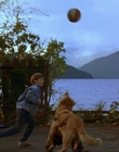 Filename=1997_-_Air_Bud_mp41321.jpg
Filesize=1024KiB
Dimensions=1920x1080
Date added=Dec 29, 2023 1997_-_Air_Bud_mp41321.jpg