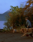 1997_-_Air_Bud_mp41327.jpg