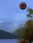 1997_-_Air_Bud_mp41328.jpg