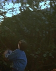 1997_-_Air_Bud_mp41331.jpg