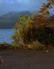 1997_-_Air_Bud_mp41340.jpg