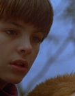 Filename=1997_-_Air_Bud_mp41374.jpg
Filesize=811KiB
Dimensions=1920x1080
Date added=Dec 29, 2023 1997_-_Air_Bud_mp41374.jpg
