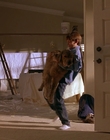 Filename=1997_-_Air_Bud_mp41393.jpg
Filesize=652KiB
Dimensions=1920x1080
Date added=Dec 29, 2023 1997_-_Air_Bud_mp41393.jpg