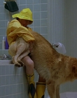 1997_-_Air_Bud_mp41427.jpg