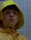 1997_-_Air_Bud_mp41437.jpg