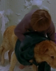 1997_-_Air_Bud_mp41491.jpg
