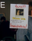 1997_-_Air_Bud_mp41695.jpg