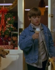 1997_-_Air_Bud_mp41700.jpg
