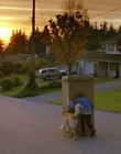 1997_-_Air_Bud_mp41735.jpg