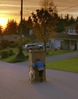 1997_-_Air_Bud_mp41736.jpg