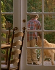 Filename=1997_-_Air_Bud_mp41901.jpg
Filesize=722KiB
Dimensions=1920x1080
Date added=Dec 29, 2023 1997_-_Air_Bud_mp41901.jpg