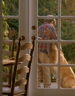 Filename=1997_-_Air_Bud_mp41902.jpg
Filesize=745KiB
Dimensions=1920x1080
Date added=Dec 29, 2023 1997_-_Air_Bud_mp41902.jpg