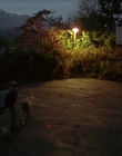 Filename=1997_-_Air_Bud_mp42009.jpg
Filesize=864KiB
Dimensions=1920x1080
Date added=Dec 29, 2023 1997_-_Air_Bud_mp42009.jpg