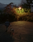 Filename=1997_-_Air_Bud_mp42011.jpg
Filesize=850KiB
Dimensions=1920x1080
Date added=Dec 29, 2023 1997_-_Air_Bud_mp42011.jpg