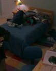 1997_-_Air_Bud_mp42039.jpg