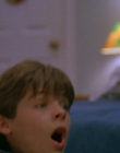 1997_-_Air_Bud_mp42083.jpg