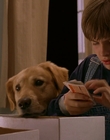 Filename=1997_-_Air_Bud_mp42362.jpg
Filesize=695KiB
Dimensions=1920x1080
Date added=Dec 29, 2023 1997_-_Air_Bud_mp42362.jpg