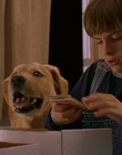 Filename=1997_-_Air_Bud_mp42363.jpg
Filesize=678KiB
Dimensions=1920x1080
Date added=Dec 29, 2023 1997_-_Air_Bud_mp42363.jpg