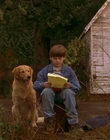 Filename=1997_-_Air_Bud_mp42609.jpg
Filesize=1167KiB
Dimensions=1920x1080
Date added=Dec 29, 2023 1997_-_Air_Bud_mp42609.jpg