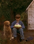 Filename=1997_-_Air_Bud_mp42610.jpg
Filesize=1164KiB
Dimensions=1920x1080
Date added=Dec 29, 2023 1997_-_Air_Bud_mp42610.jpg