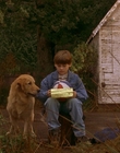 Filename=1997_-_Air_Bud_mp42611.jpg
Filesize=1152KiB
Dimensions=1920x1080
Date added=Dec 29, 2023 1997_-_Air_Bud_mp42611.jpg