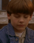 1997_-_Air_Bud_mp42627.jpg