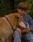 Filename=1997_-_Air_Bud_mp42630.jpg
Filesize=914KiB
Dimensions=1920x1080
Date added=Dec 29, 2023 1997_-_Air_Bud_mp42630.jpg