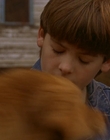 Filename=1997_-_Air_Bud_mp42631.jpg
Filesize=566KiB
Dimensions=1920x1080
Date added=Dec 29, 2023 1997_-_Air_Bud_mp42631.jpg