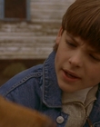 Filename=1997_-_Air_Bud_mp42632.jpg
Filesize=771KiB
Dimensions=1920x1080
Date added=Dec 29, 2023 1997_-_Air_Bud_mp42632.jpg