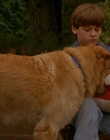 Filename=1997_-_Air_Bud_mp42637.jpg
Filesize=849KiB
Dimensions=1920x1080
Date added=Dec 29, 2023 1997_-_Air_Bud_mp42637.jpg