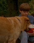 1997_-_Air_Bud_mp42638.jpg