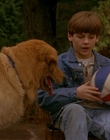 1997_-_Air_Bud_mp42643.jpg