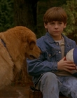 Filename=1997_-_Air_Bud_mp42644.jpg
Filesize=958KiB
Dimensions=1920x1080
Date added=Dec 29, 2023 1997_-_Air_Bud_mp42644.jpg