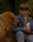 Filename=1997_-_Air_Bud_mp42645.jpg
Filesize=947KiB
Dimensions=1920x1080
Date added=Dec 29, 2023 1997_-_Air_Bud_mp42645.jpg