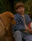 Filename=1997_-_Air_Bud_mp42646.jpg
Filesize=938KiB
Dimensions=1920x1080
Date added=Dec 29, 2023 1997_-_Air_Bud_mp42646.jpg