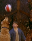 Filename=1997_-_Air_Bud_mp42684.jpg
Filesize=850KiB
Dimensions=1920x1080
Date added=Dec 29, 2023 1997_-_Air_Bud_mp42684.jpg