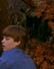 Filename=1997_-_Air_Bud_mp42686.jpg
Filesize=907KiB
Dimensions=1920x1080
Date added=Dec 29, 2023 1997_-_Air_Bud_mp42686.jpg