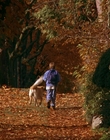 Filename=1997_-_Air_Bud_mp42720.jpg
Filesize=1313KiB
Dimensions=1920x1080
Date added=Dec 29, 2023 1997_-_Air_Bud_mp42720.jpg