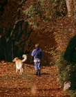 Filename=1997_-_Air_Bud_mp42721.jpg
Filesize=1260KiB
Dimensions=1920x1080
Date added=Dec 29, 2023 1997_-_Air_Bud_mp42721.jpg