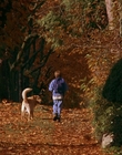 Filename=1997_-_Air_Bud_mp42722.jpg
Filesize=1265KiB
Dimensions=1920x1080
Date added=Dec 29, 2023 1997_-_Air_Bud_mp42722.jpg