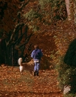 Filename=1997_-_Air_Bud_mp42723.jpg
Filesize=1242KiB
Dimensions=1920x1080
Date added=Dec 29, 2023 1997_-_Air_Bud_mp42723.jpg