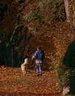 Filename=1997_-_Air_Bud_mp42724.jpg
Filesize=1248KiB
Dimensions=1920x1080
Date added=Dec 29, 2023 1997_-_Air_Bud_mp42724.jpg