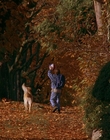 Filename=1997_-_Air_Bud_mp42725.jpg
Filesize=1238KiB
Dimensions=1920x1080
Date added=Dec 29, 2023 1997_-_Air_Bud_mp42725.jpg