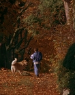 Filename=1997_-_Air_Bud_mp42726.jpg
Filesize=1219KiB
Dimensions=1920x1080
Date added=Dec 29, 2023 1997_-_Air_Bud_mp42726.jpg