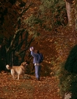 Filename=1997_-_Air_Bud_mp42727.jpg
Filesize=1214KiB
Dimensions=1920x1080
Date added=Dec 29, 2023 1997_-_Air_Bud_mp42727.jpg