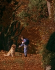 Filename=1997_-_Air_Bud_mp42729.jpg
Filesize=1205KiB
Dimensions=1920x1080
Date added=Dec 29, 2023 1997_-_Air_Bud_mp42729.jpg