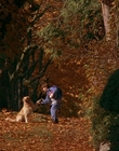 Filename=1997_-_Air_Bud_mp42730.jpg
Filesize=1203KiB
Dimensions=1920x1080
Date added=Dec 29, 2023 1997_-_Air_Bud_mp42730.jpg