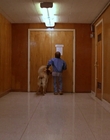 Filename=1997_-_Air_Bud_mp42798.jpg
Filesize=690KiB
Dimensions=1920x1080
Date added=Dec 29, 2023 1997_-_Air_Bud_mp42798.jpg